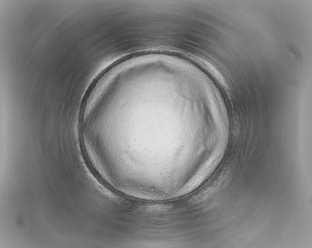 X0000115150847200911171239