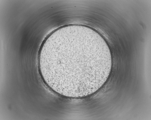 X0000115150848200911171239