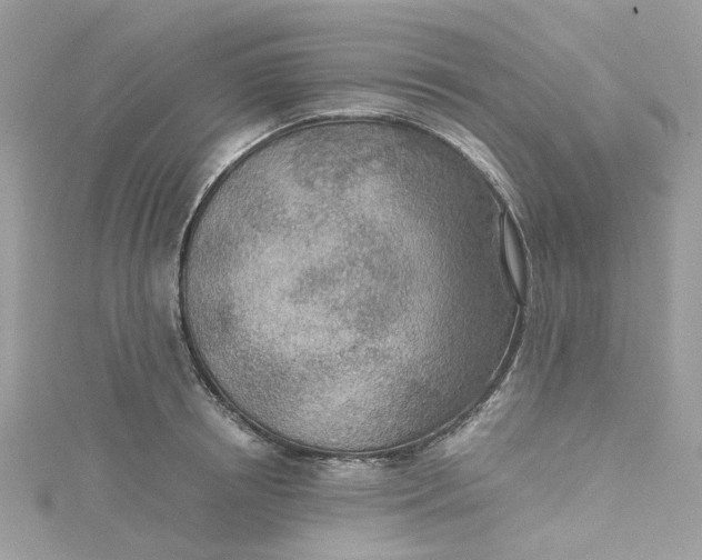 X0000115150850200911171239