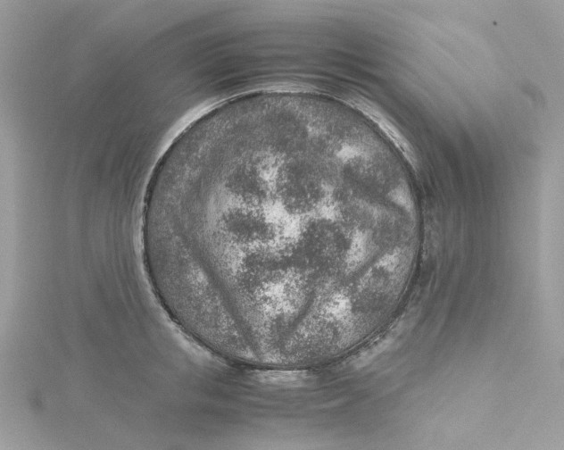 X0000115150853200911171239