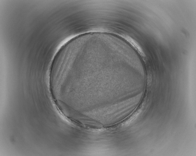 X0000115150854200911171239