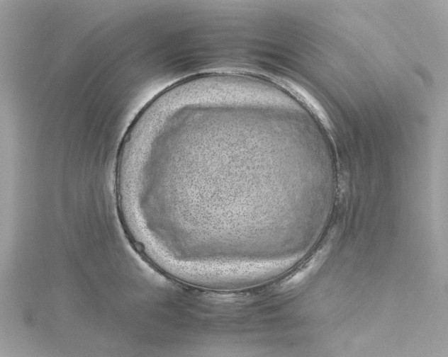 X0000115150855200911171239