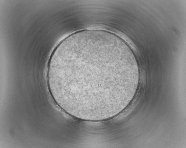 X0000115150856200911171239