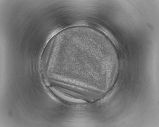 X0000115150858200911171239