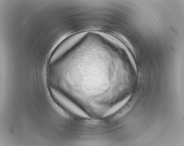 X0000115150859200911171239