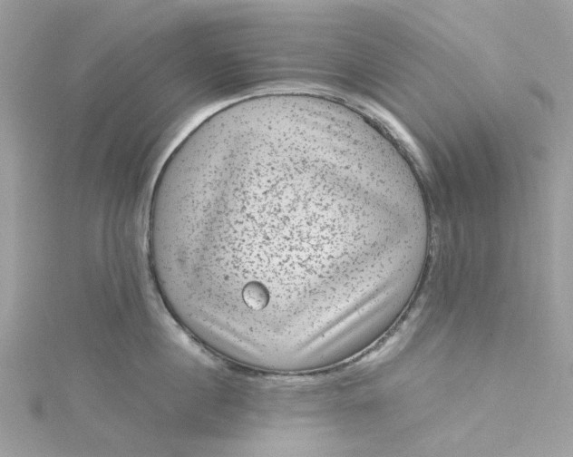 X0000115150860200911171239