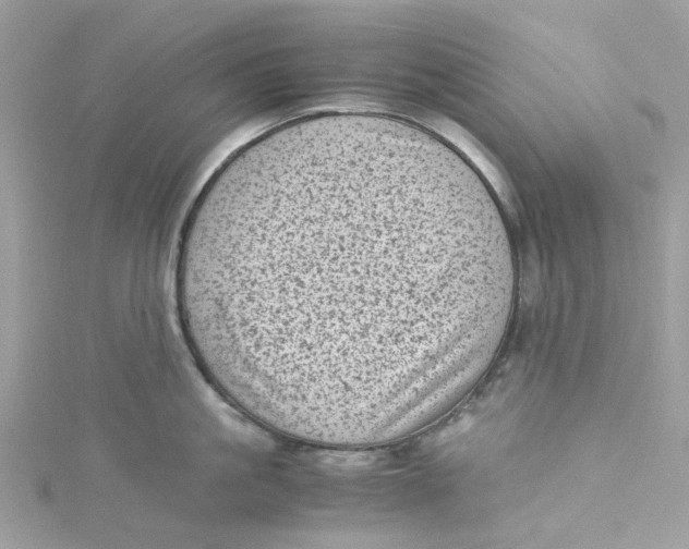 X0000115150861200911171239