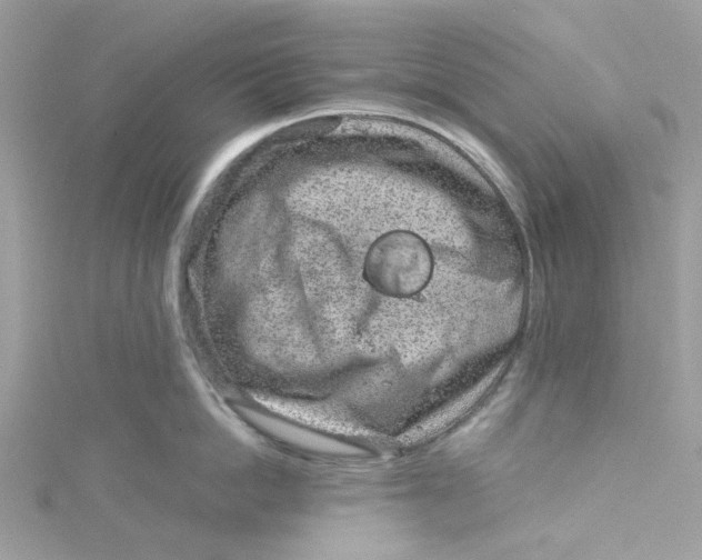 X0000115150862200911171239