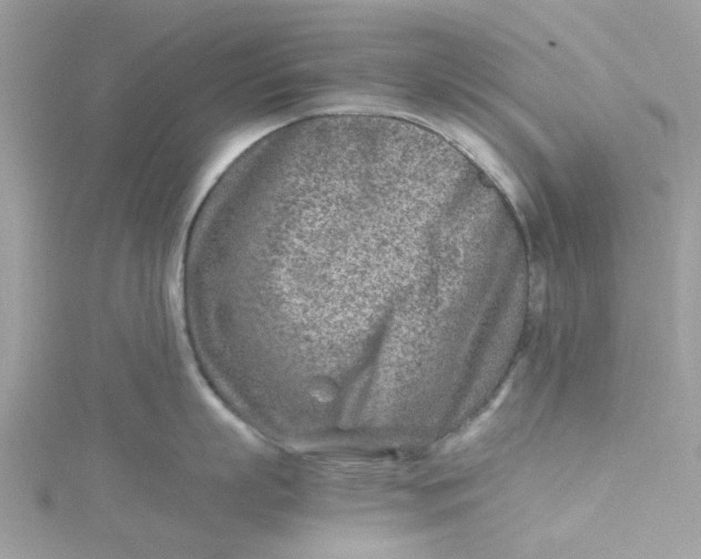 X0000115150863200911171239