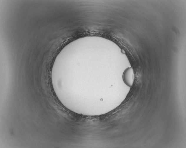 X0000115150865200911171239