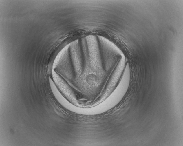 X0000115150868200911171239