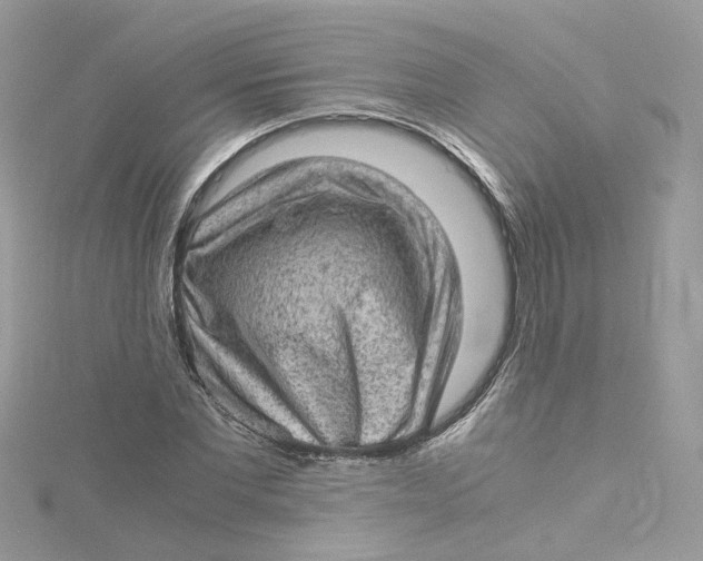 X0000115150877200911171238