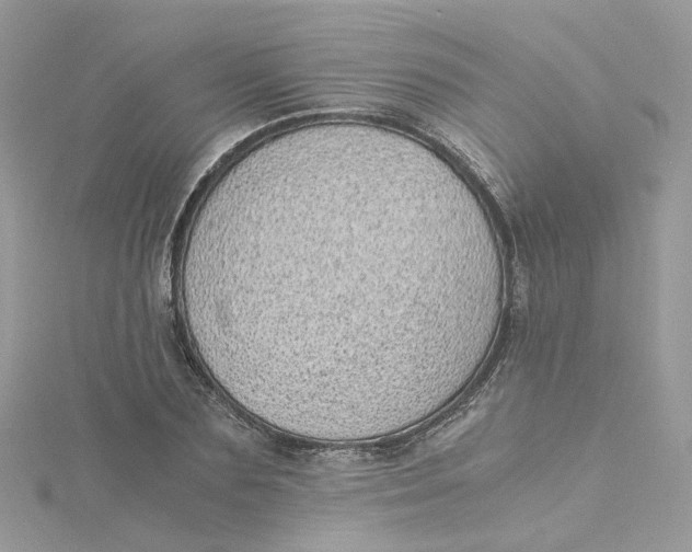 X0000115150883200911171238