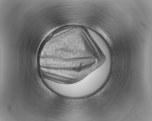 X0000115150884200911171238