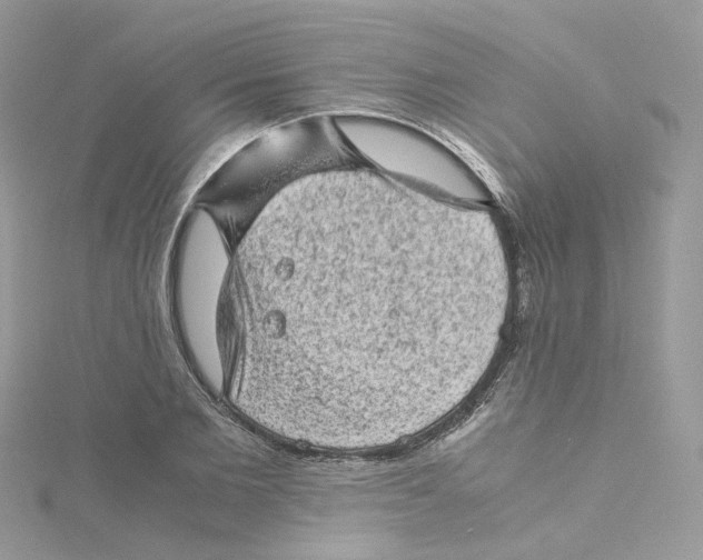 X0000115150885200911171238
