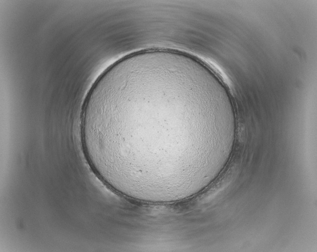 X0000115150903200911171238