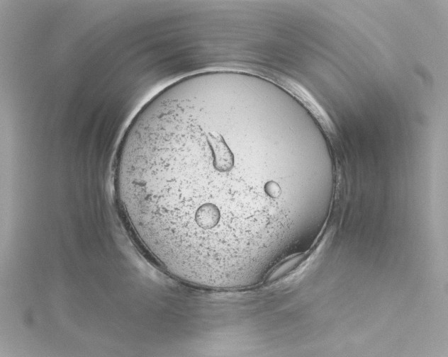 X0000115150908200911171238