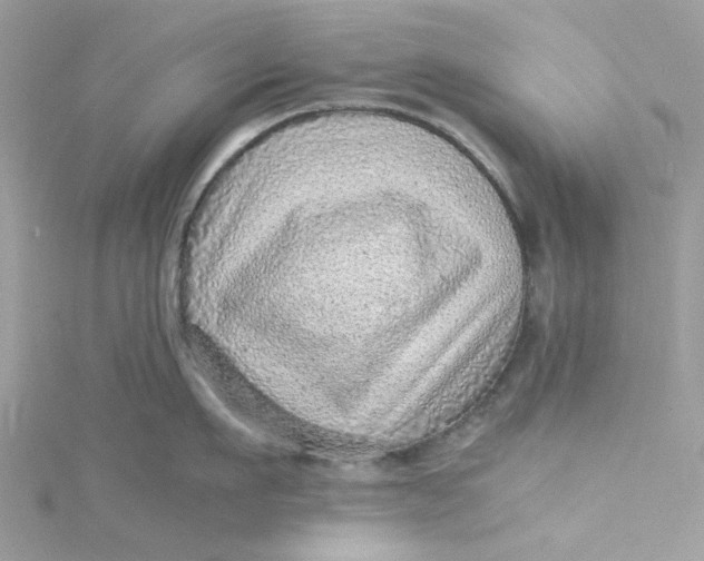X0000115150911200911171238