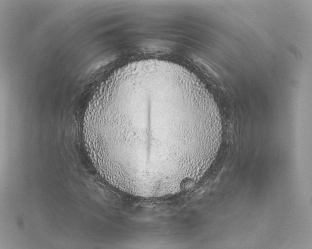 X0000115150917200911171237