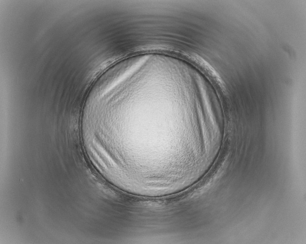 X0000115150937200911171237