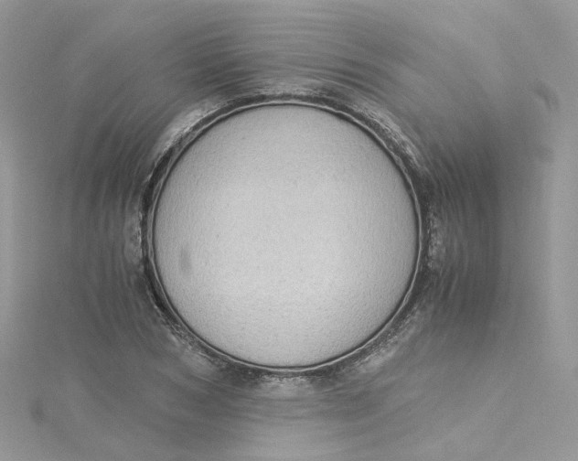 X0000115150978200911171237
