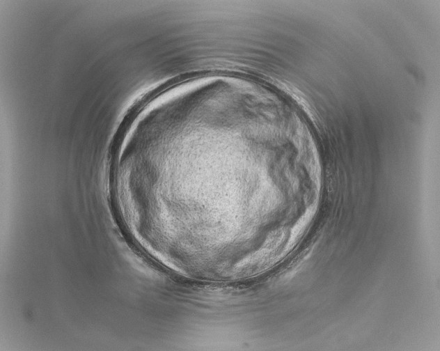 X0000115150987200911171237
