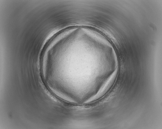 X0000115150990200911171237