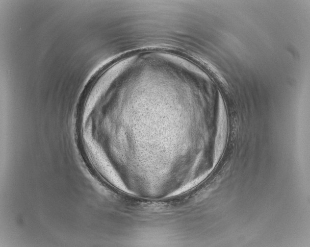 X0000115150991200911171237