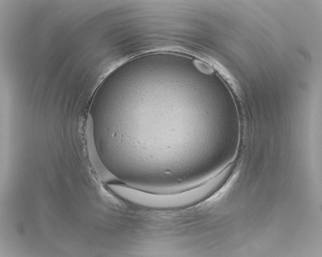 X0000115151001200911171237