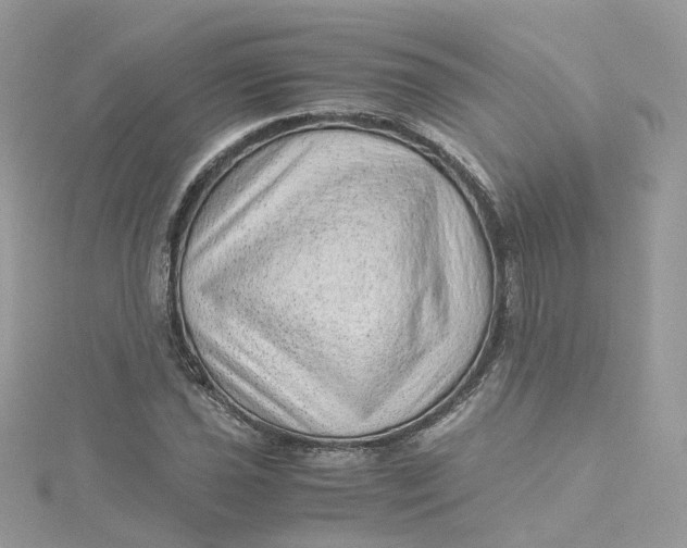 X0000115151021200911171236
