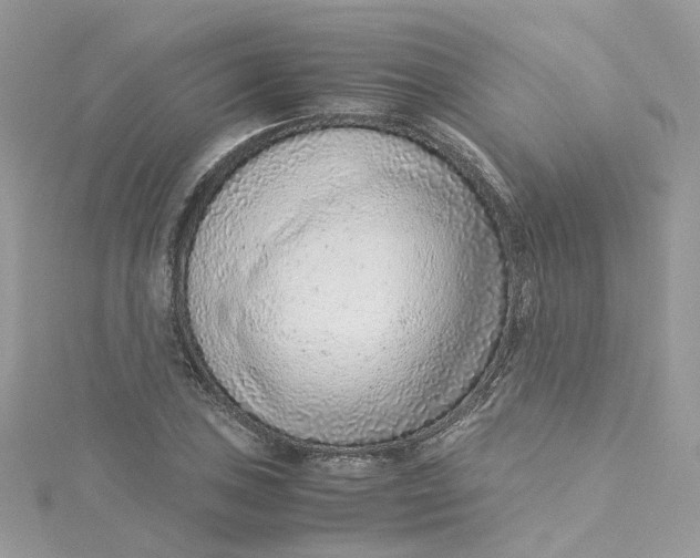 X0000115151027200911171236