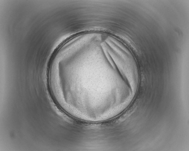 X0000115151038200911171236