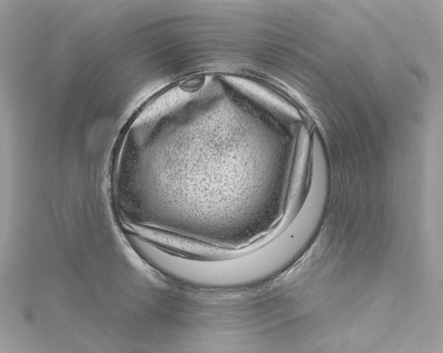 X0000115151042200911171236