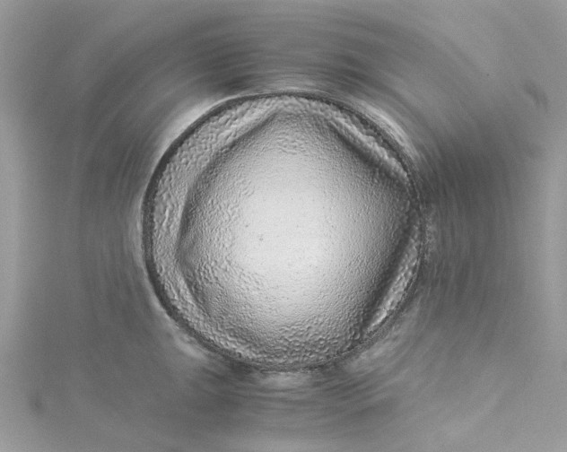 X0000115151047200911171236