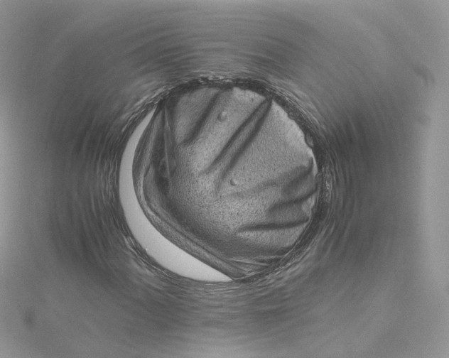X0000115151060200911171236