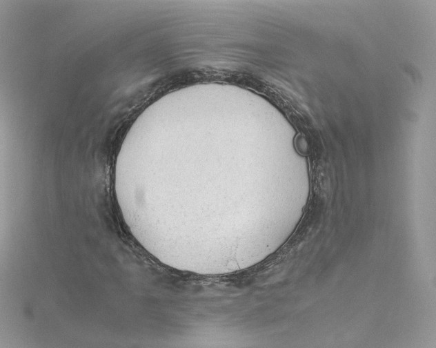 X0000115151061200911171236