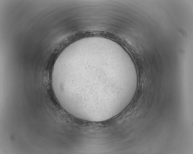 X0000115151062200911171236