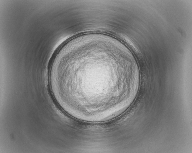 X0000115151079200911171236