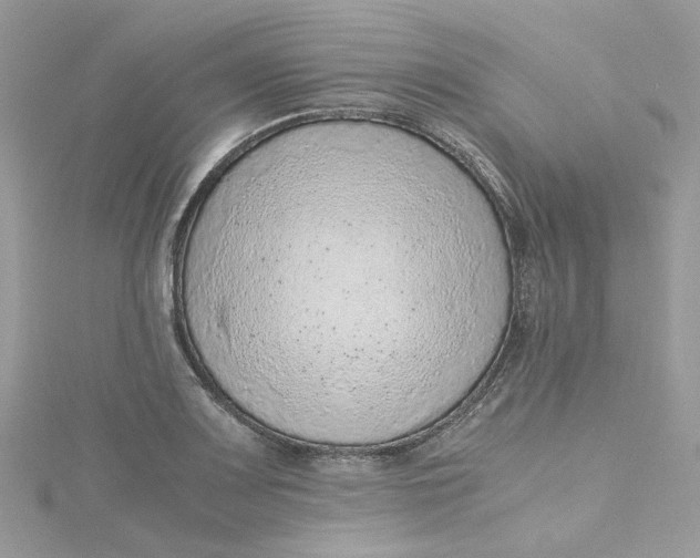 X0000115151083200911171235