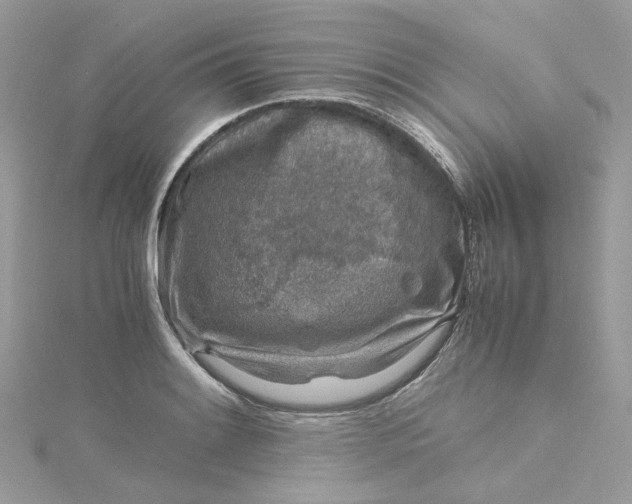 X0000115151084200911171235