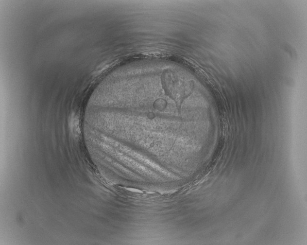 X0000115151106200911171235