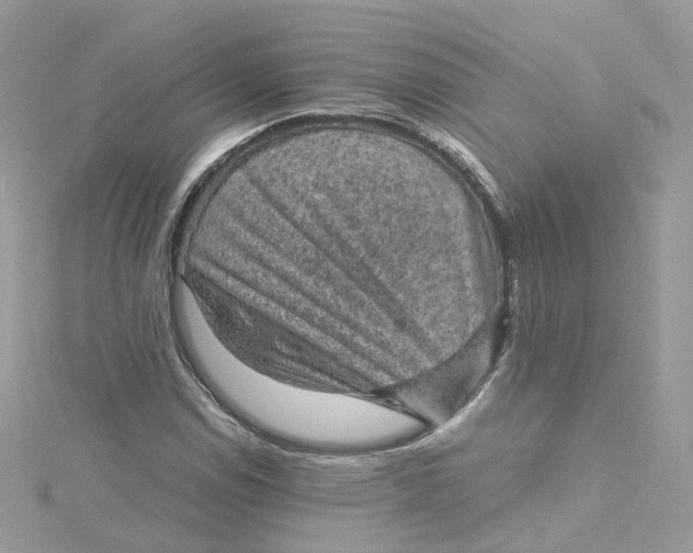 X0000115151114200911171235
