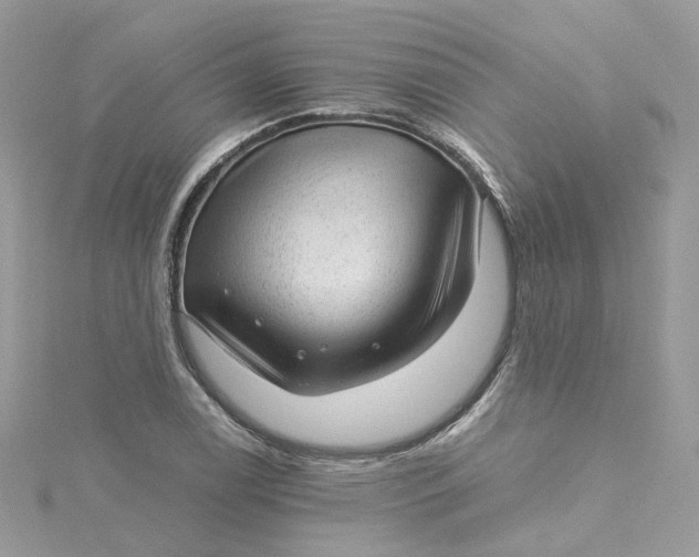 X0000115151122200911171235