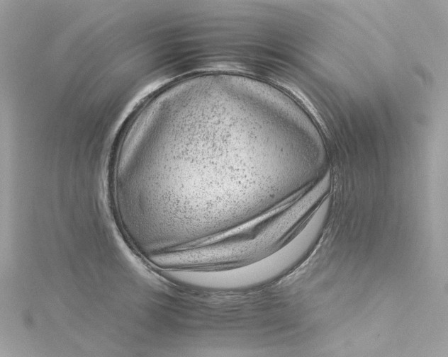 X0000115151139200911171235