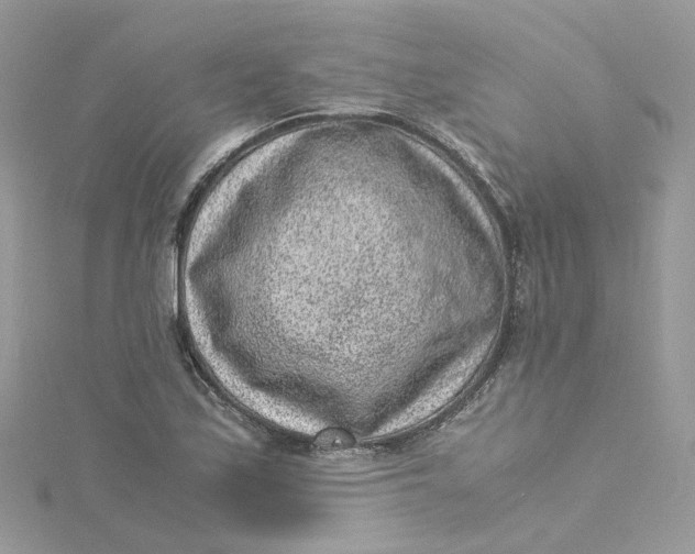 X0000115151171200911171234