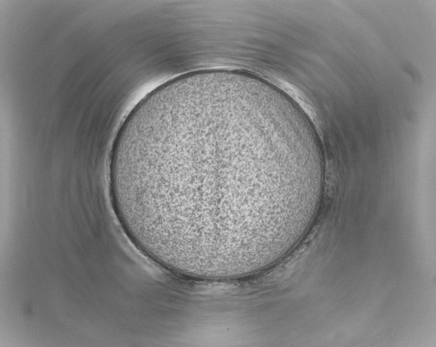 X0000115151187200911171234