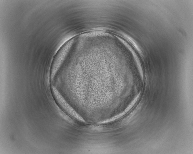X0000115151194200911171234