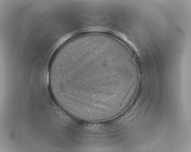 X0000115151221200911171234