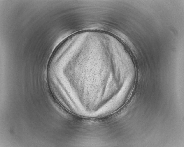 X0000115151234200911171234