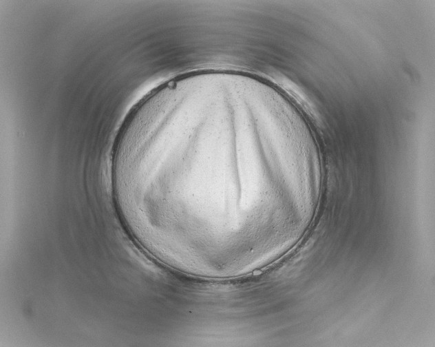 X0000115151238200911171234